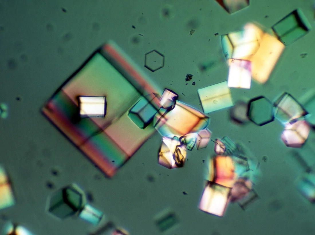 Cristales de proteínas bajo el microscopio