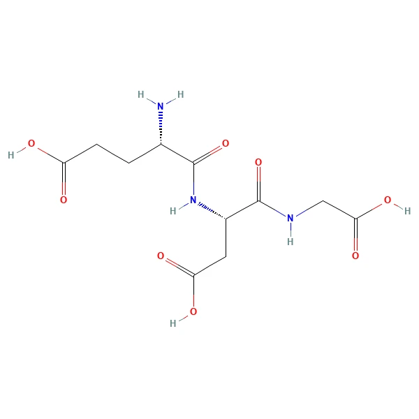 Chonluten